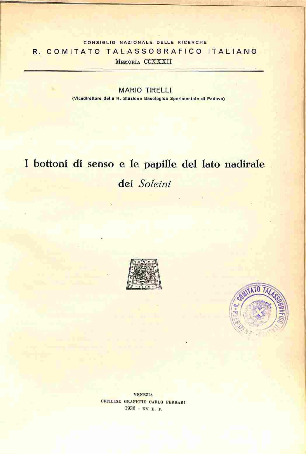 I bottoni di senso e le papille del lato nadirale dei Soleini